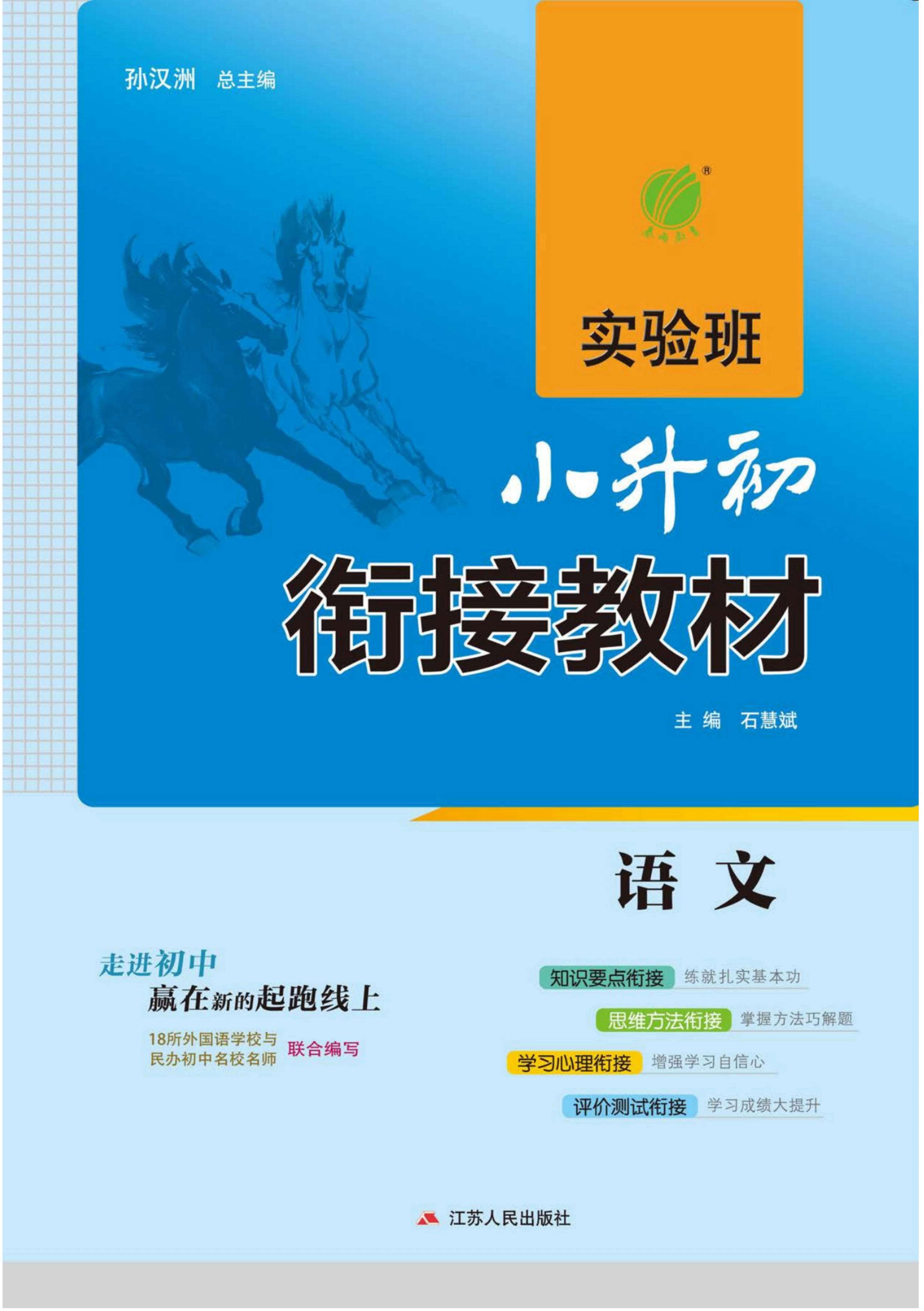 小升初实验班衔接（语文 数学 英语）-松子教辅网